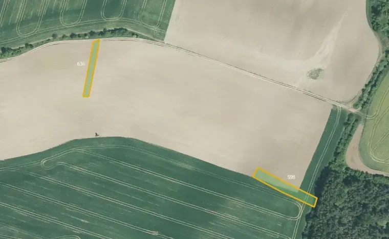 Prodej podílu pole, Honětice, 9179 m2