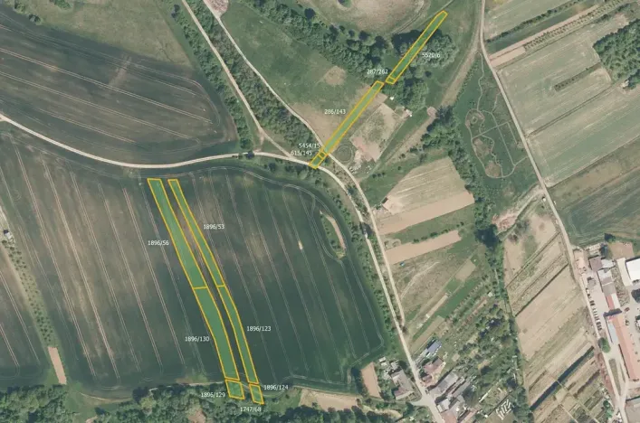 Prodej pole, Jalubí, 7416 m2