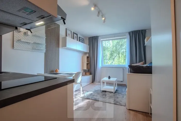 Pronájem bytu 1+kk, Praha - Vršovice, Kubánské náměstí, 19 m2