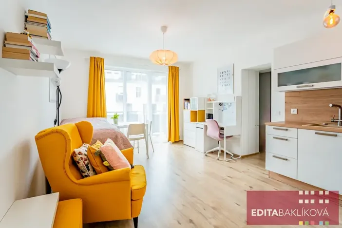 Pronájem bytu 1+kk, Olomouc, Eduarda Hamburgera, 33 m2