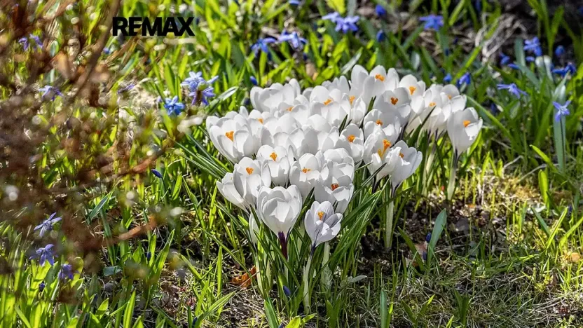 Prodej rodinného domu, Nový Bor, Hřebenka, 294 m2