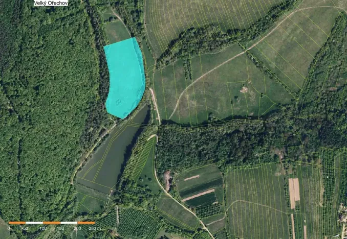 Prodej louky, Velký Ořechov, 21368 m2