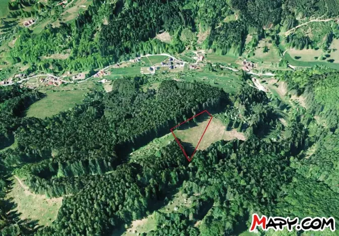 Prodej louky, Halenkov, 5620 m2