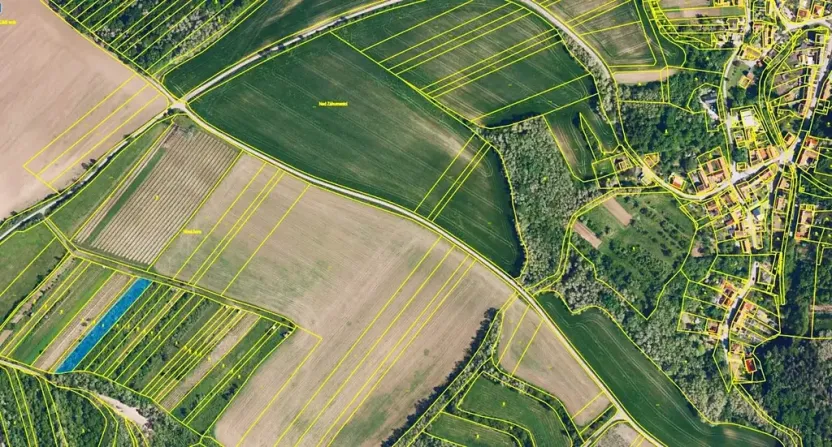 Prodej sadu/vinice, Nikolčice, 2568 m2