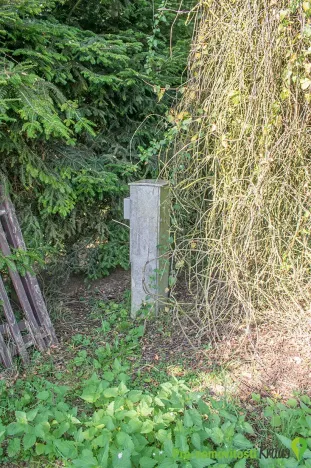 Prodej pozemku pro bydlení, Spálené Poříčí, 4447 m2