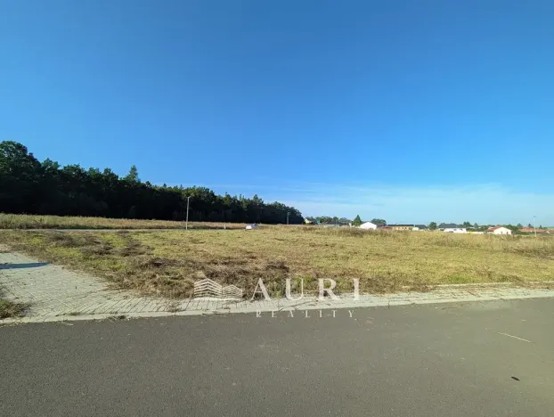 Prodej pozemku pro bydlení, Olešná, 1130 m2