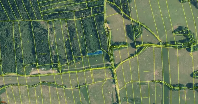 Prodej lesa, Neurazy, 727 m2