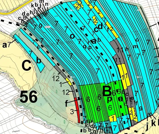 Dražba lesa, Janovice nad Úhlavou, 4727 m2