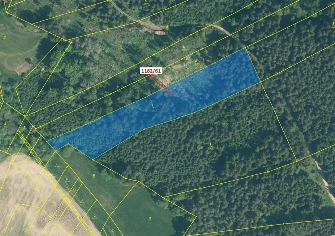 Dražba lesa, Přeborov, 11119 m2