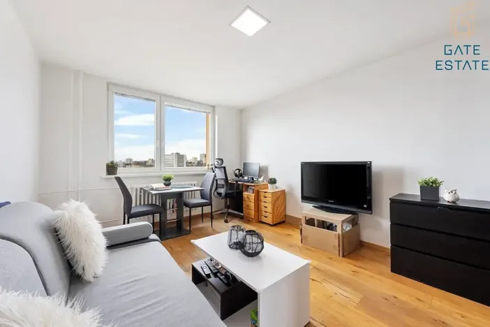 Prodej bytu 1+1, Brno, Novoměstská, 28 m2