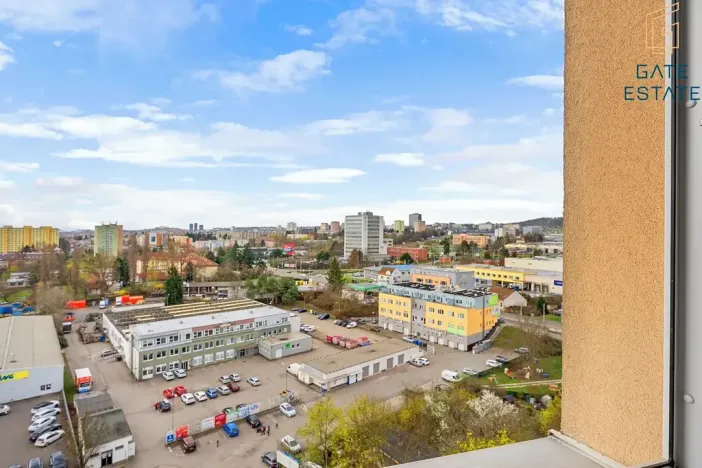 Prodej bytu 1+1, Brno, Novoměstská, 28 m2