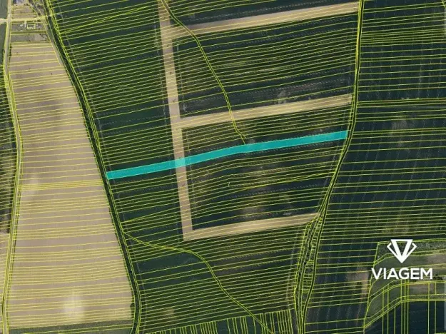 Prodej podílu pole, Syrovín, 4961 m2