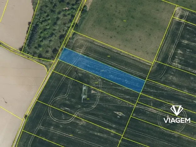 Prodej pole, Choltice, 2392 m2