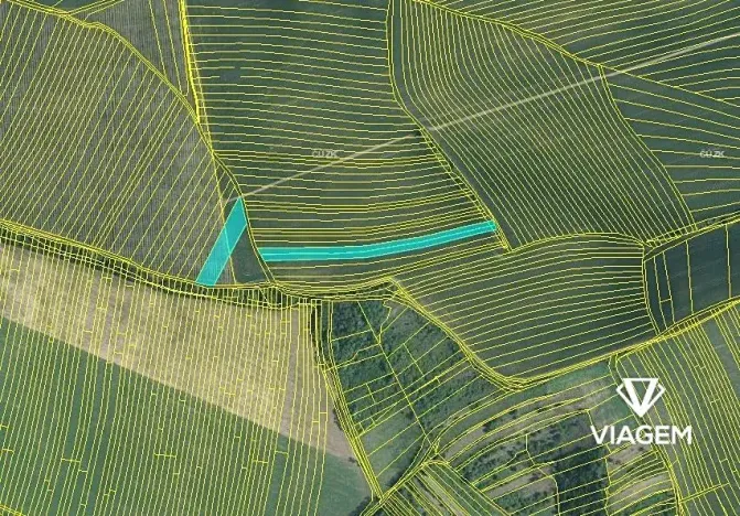 Prodej pole, Nosislav, 5643 m2