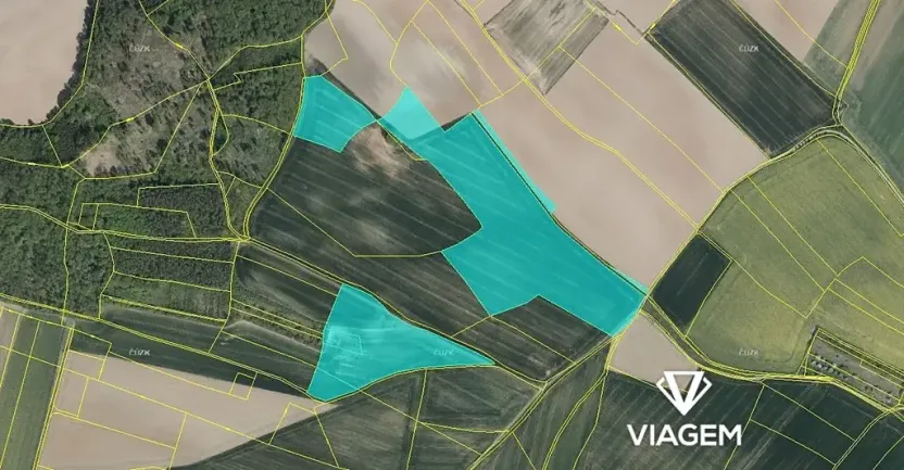 Prodej podílu pole, Zaloňov, 3977 m2