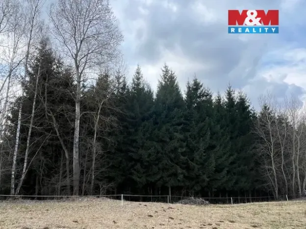 Prodej lesa, Košťálov - Kundratice, 4244 m2