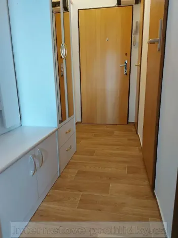 Pronájem bytu 1+kk, Praha - Vysočany, Kolbenova, 30 m2