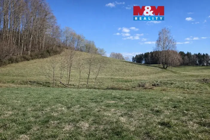 Prodej louky, Janův Důl, 2749 m2