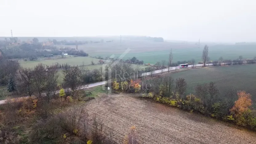 Prodej podílu pozemku, Třebíz, 161602 m2