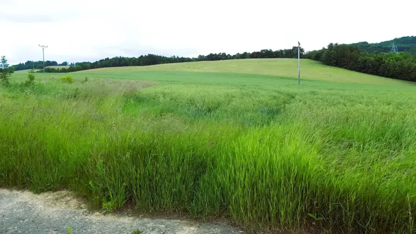 Prodej pozemku pro bydlení, Oskava, 1250 m2