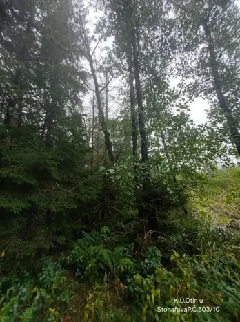 Prodej lesa, Otín, 928 m2