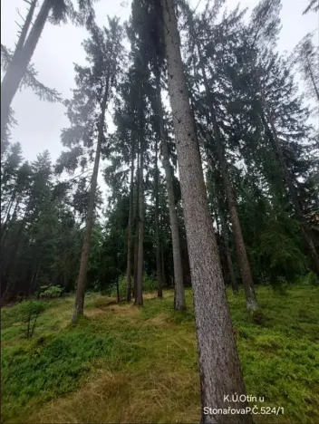 Prodej lesa, Otín, 829 m2