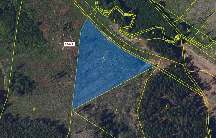 Dražba lesa, Žižkovo Pole, 8330 m2