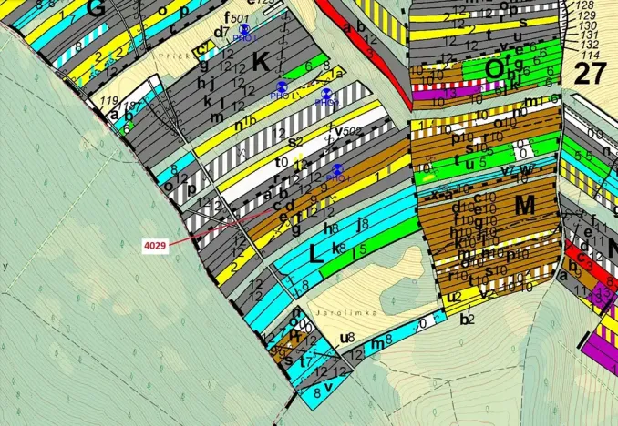 Dražba lesa, Pitín, 5996 m2