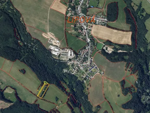 Dražba louky, Lipová, 12642 m2