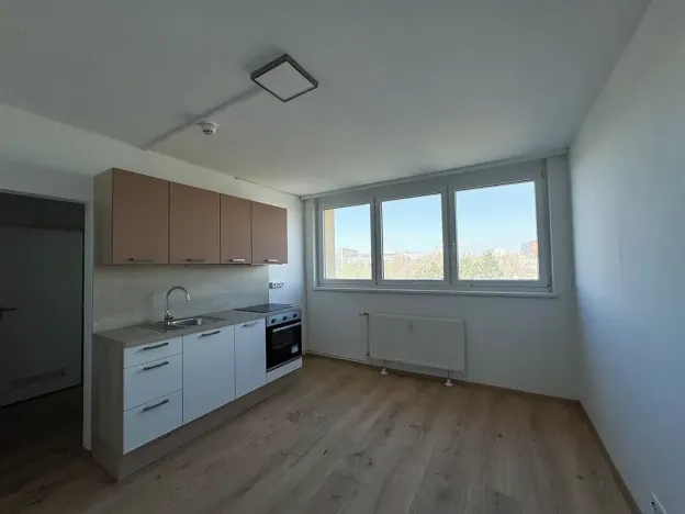 Pronájem bytu 1+kk, Praha - Střížkov, Děčínská, 23 m2