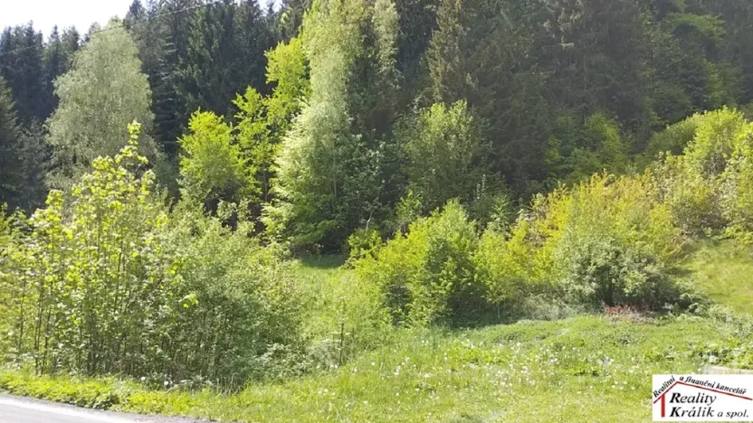 Prodej pozemku pro bydlení, Tanvald, 7310 m2