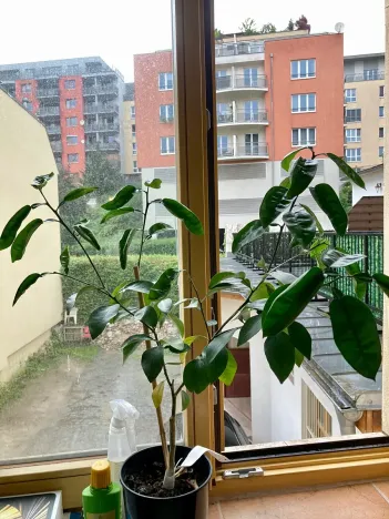 Pronájem bytu 1+kk, Praha - Košíře, Vrchlického, 20 m2