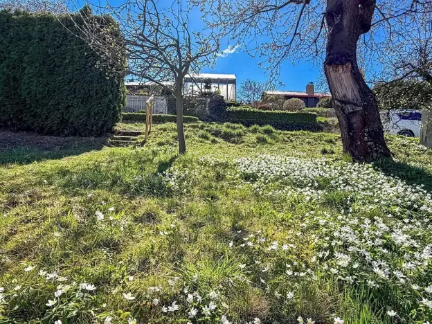 Prodej chaty, Vysoké Mýto, Vinice, 17 m2