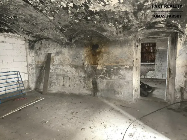 Prodej vícegeneračního domu, Děčín, Litoměřická, 250 m2