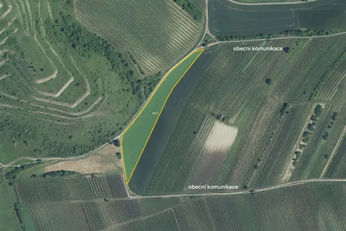 Prodej pole, Dolní Dunajovice, 9912 m2