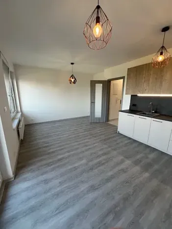 Pronájem bytu 1+kk, Praha - Chodov, Šternovská, 42 m2