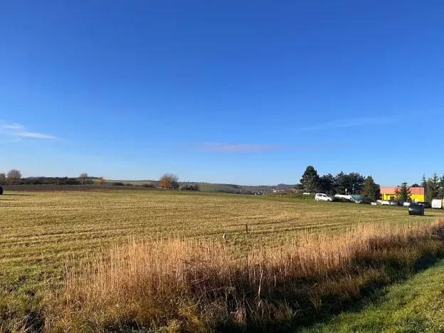 Dražba komerčního pozemku, Velké Albrechtice, 12610 m2