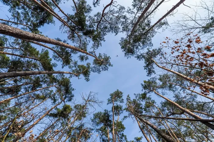 Prodej pozemku pro bydlení, Hradištko, Kersko, 4428 m2