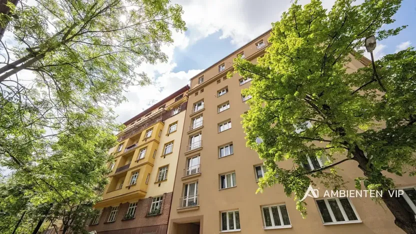 Prodej bytu 6+kk a větší, Brno, Čápkova, 209 m2