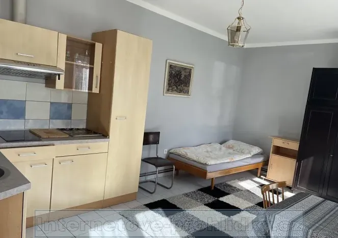 Pronájem pokoje, Praha - Vinohrady, Italská, 22 m2