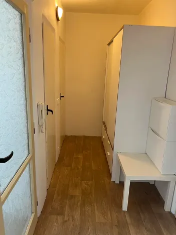 Pronájem bytu 1+1, Jihlava, Vrchlického, 32 m2