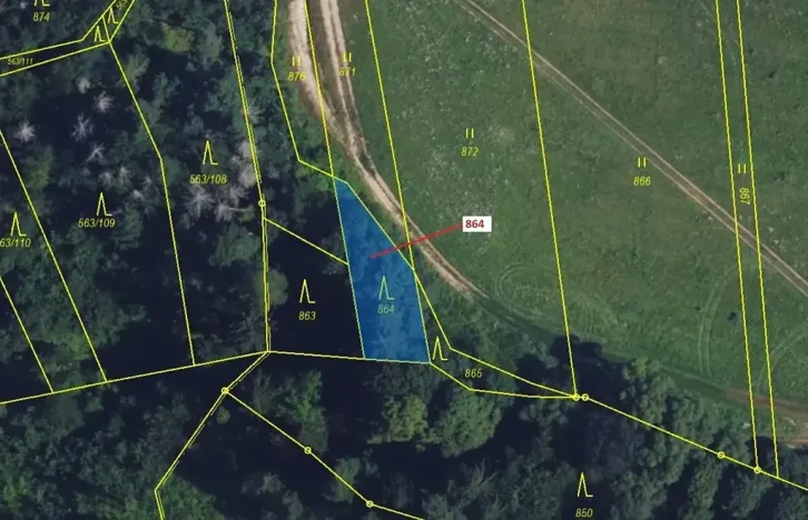 Dražba lesa, Spešov, 297 m2