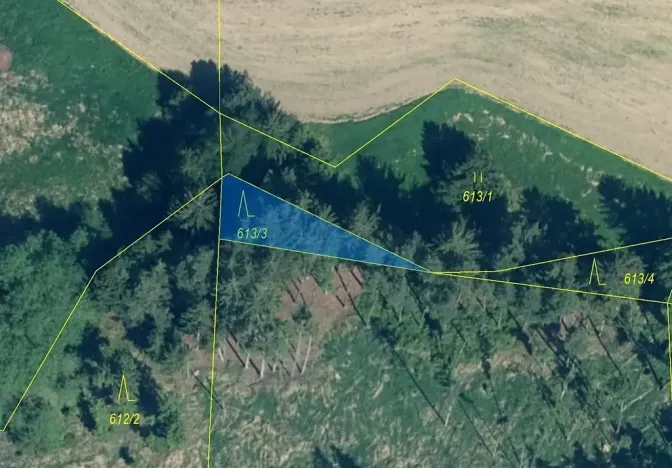 Dražba lesa, Záboří, 180 m2