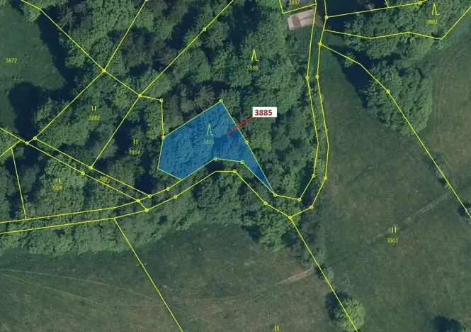 Dražba lesa, Semily, 561 m2