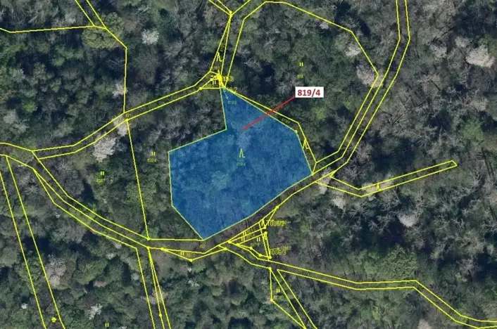 Dražba lesa, Zubrnice, 2875 m2