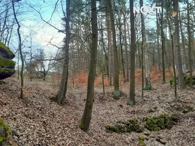 Prodej zahrady, Provodín, 1453 m2