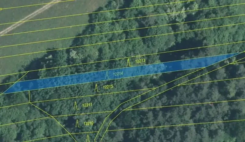 Dražba lesa, Strání, 597 m2