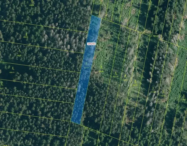 Dražba lesa, Prachatice, 2039 m2