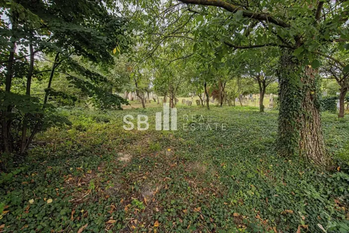 Prodej rodinného domu, Loštice, Vejmoly, 150 m2