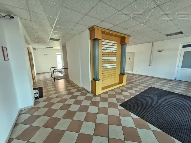 Prodej obchodního prostoru, Znojmo, Vídeňská třída, 5100 m2